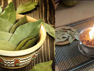 7 Benefits of Burning Bay Leaves