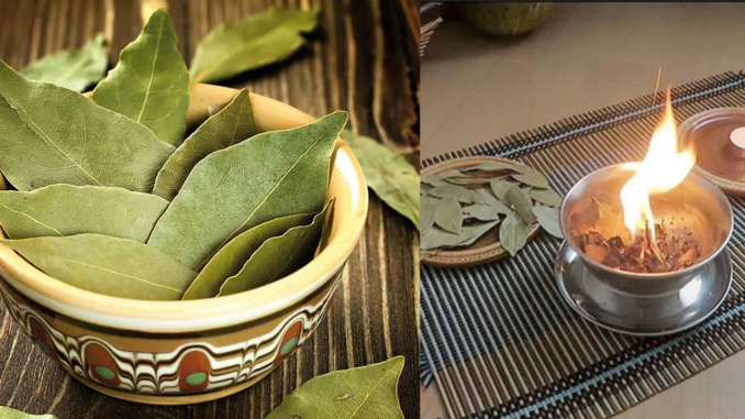 7 Benefits of Burning Bay Leaves 7 Benefits of Burning Bay Leaves