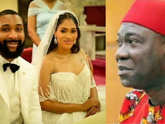 Lloyd Ekweremadu, Ike Ekweremadu's Eldest Son Weds In Abuja
